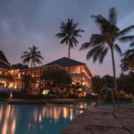 hotel palmier piscine