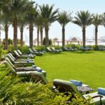 jardin luxe