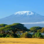 afrique 3