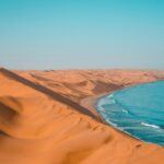 afrique 7